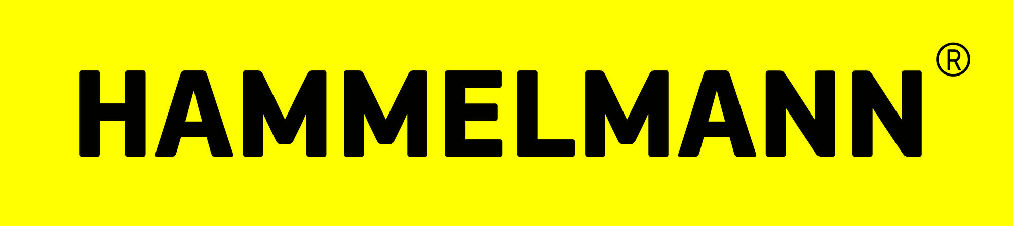 Hammelmann logo